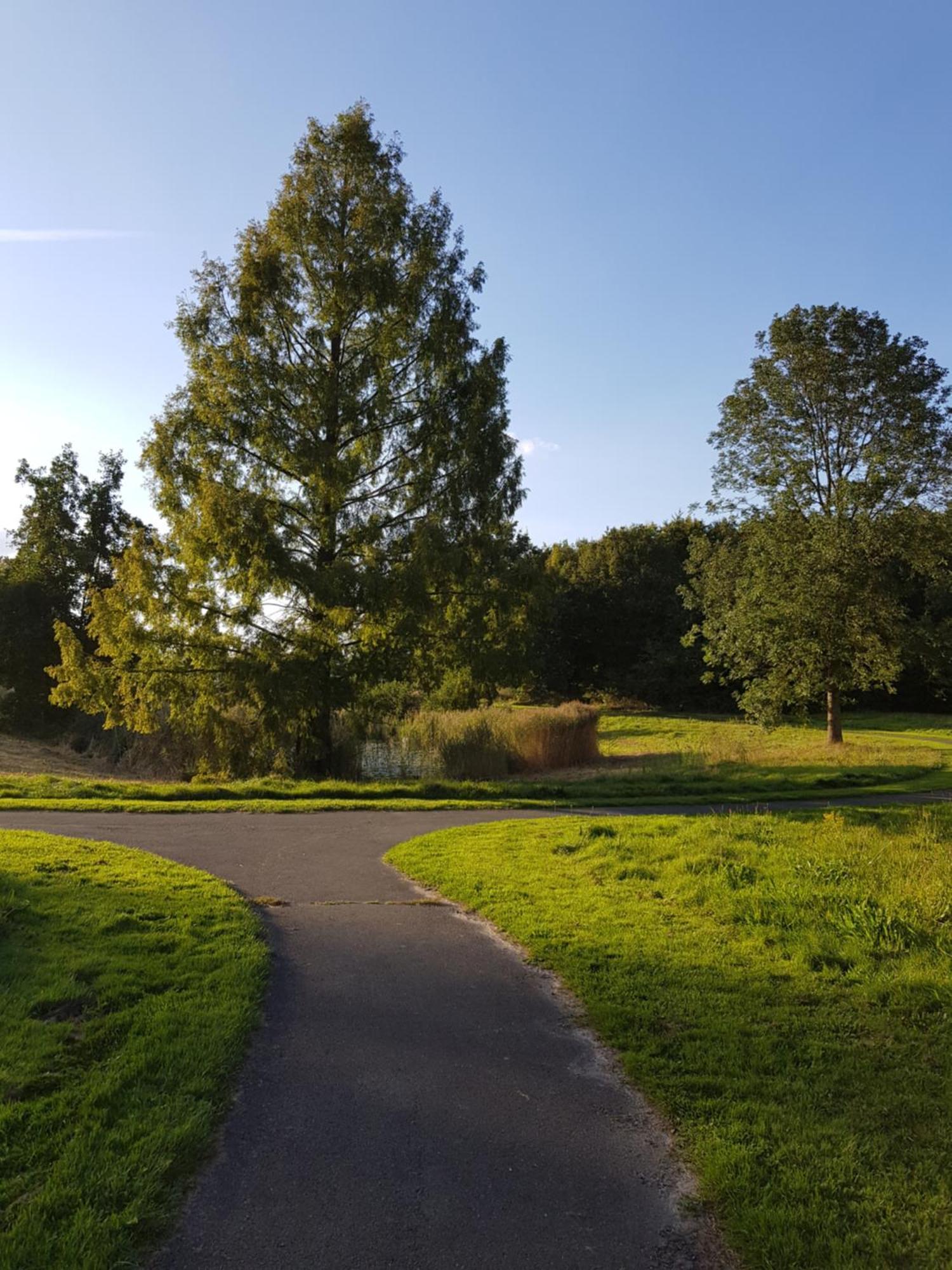 Onder De Beukenboom Apartman Nieuwe Pekela Kültér fotó