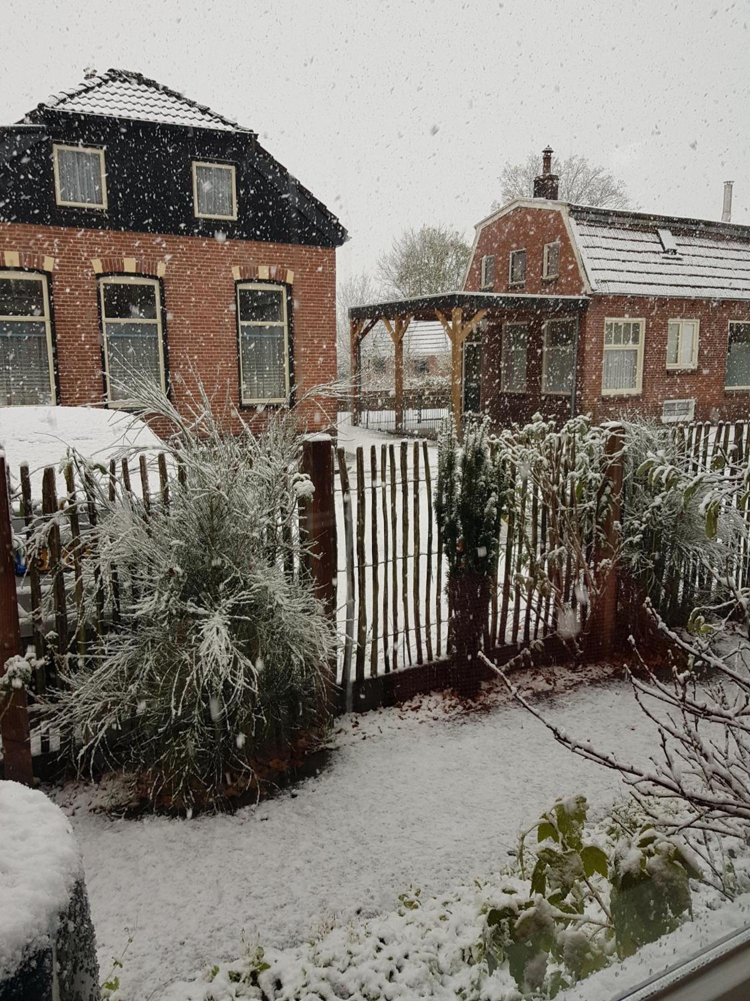 Onder De Beukenboom Apartman Nieuwe Pekela Kültér fotó